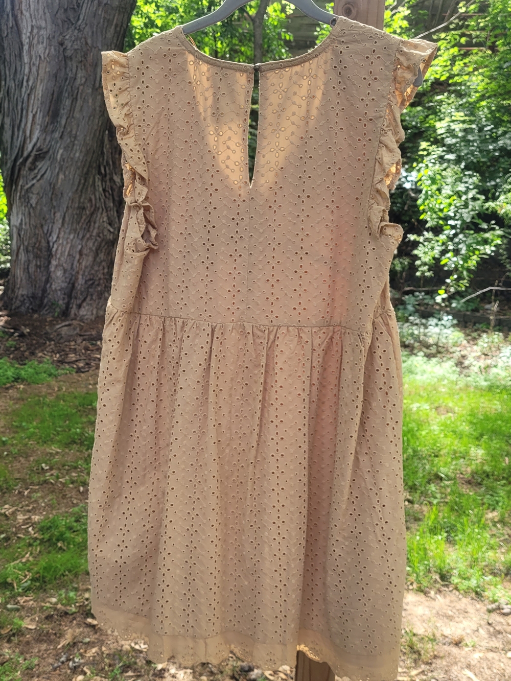 Knox Rose Eyelet Dress with Ruffle Cap Sleeves - Picture 5 of 7